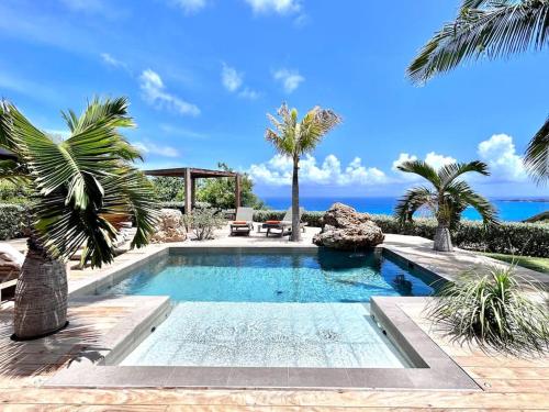 Saint Barthelemy的住宿－Villa des Vents，一座棕榈树和海洋游泳池