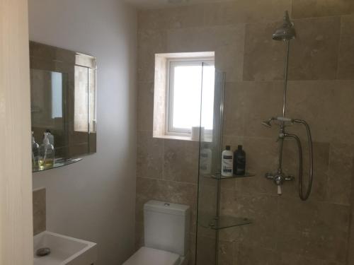 a bathroom with a shower and a toilet and a window at Cedar Shade Cottage Ensuite Private Annexe with Parking in Sidmouth