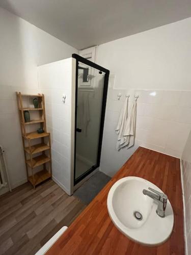 une salle de bain avec un lavabo et une douche dans l'établissement 4 personnes - ambiance cosy - proche universités, à Grenoble