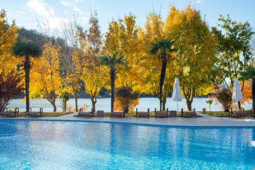 La alberca dentro o cerca de Lopota Lake Resort & Spa