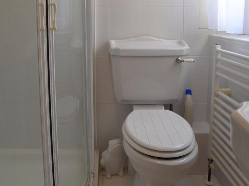 a bathroom with a white toilet and a shower at The Old Rectory Lodge in Yaxham