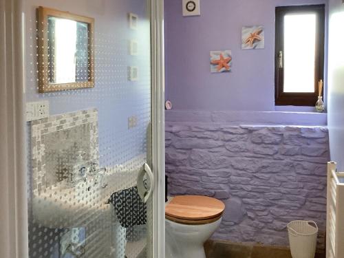 a bathroom with a toilet and a shower at Newhouse Farm Barn in Neenton