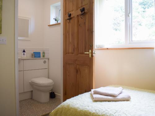 a bathroom with a bed and a toilet and a window at The Lodge in Presteigne
