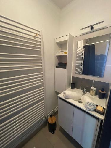 une salle de bain avec un lavabo et un miroir dans l'établissement Découvrez Stéline, T3 centre ville, à Montélimar