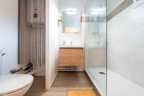 une salle de bain avec toilettes, lavabo et douche dans l'établissement Proche Technopole: lit double - fibre - lave-linge, à Grenoble