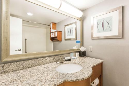 a bathroom with a sink and a large mirror at Hampton Inn Morehead City in Morehead City