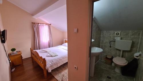 a bedroom with a bed and a sink and a toilet at Casa Potcoava in Lepşa