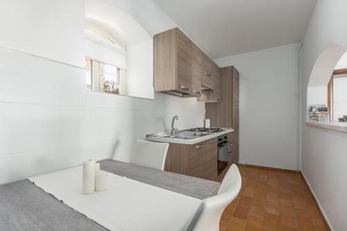 a white kitchen with a sink and a counter at Villa Vial in Labinci