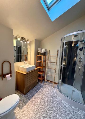 une salle de bain avec toilettes, lavabo et douche dans l'établissement Gîte La Grange du Domaine des Aguilès, à Nistos