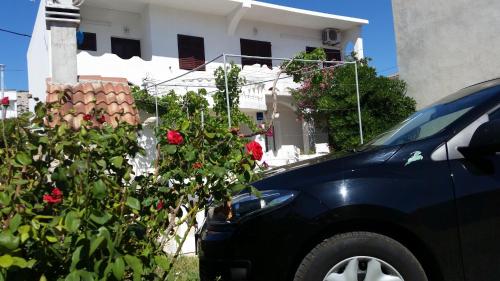 een blauwe auto geparkeerd naast een struik met rode rozen bij Apartments Milka Pag in Pag