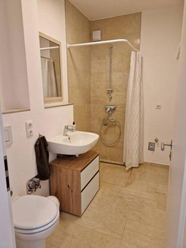 een badkamer met een wastafel, een toilet en een douche bij Stilvolle gemütliche Wohnung! in Roßdorf