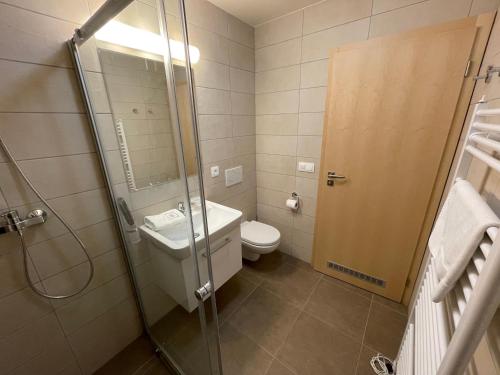 a bathroom with a shower and a toilet and a sink at Apartmány pod Zakletým - Hotel Říčky in Říčky