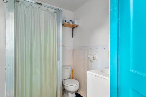 a bathroom with a toilet and a shower curtain at The Blue Parrot Guest House in Ocean Beach