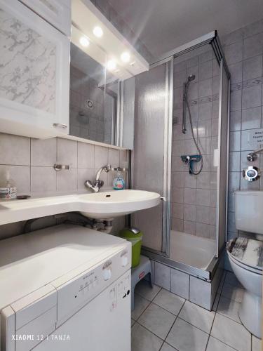 a bathroom with a sink and a shower and a toilet at Konstanzer Sonne 