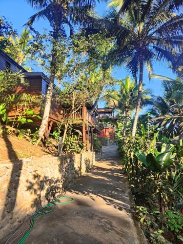 a path in front of a house with palm trees at OHANA Jungle Lodges in Les Avirons