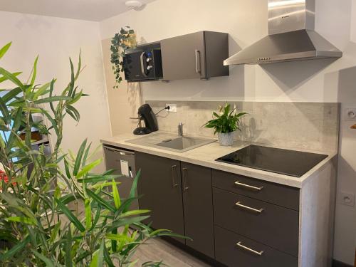 a kitchen with a sink and some plants at Charmant appartement proche du centre ville in Caen