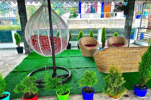 a group of potted plants sitting on a green blanket at Mirik Homestay in Mirik