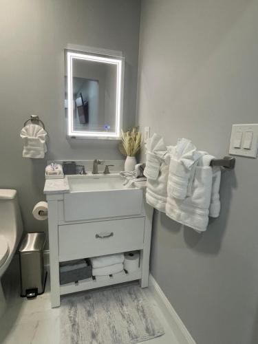 y baño con lavabo blanco y espejo. en Villa Sosa en Fort Myers