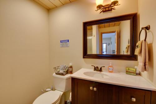 a bathroom with a toilet and a sink and a mirror at Hot Tub, Game Tables and Mtn Views Ellijay Cabin in Ellijay