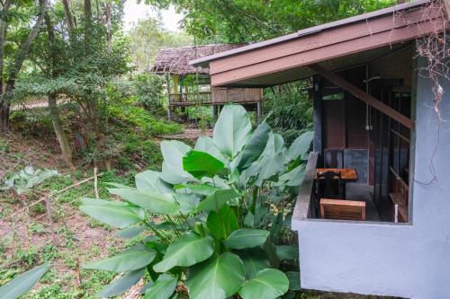 une maison avec une bande de plantes devant elle dans l'établissement Shaya Suandoi Resort, à Pai