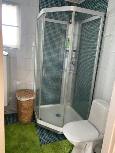 a bathroom with a shower with a toilet and a green rug at Talo Merikarvian keskustassa lähellä Merta! in Merikarvia