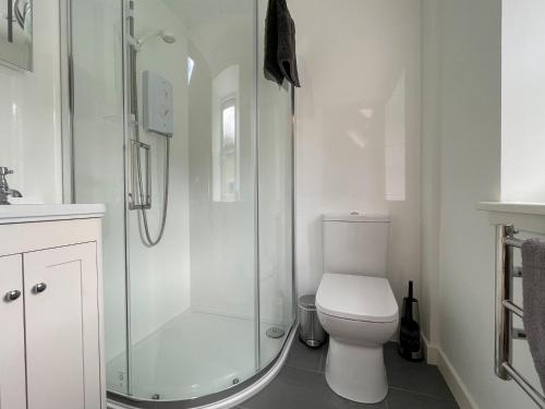 a white bathroom with a shower and a toilet at Glacour Studio Cottage in Bridgend