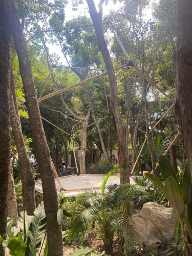 a park with a canopy of trees and a walkway at Bufo Alvarius in Tulum
