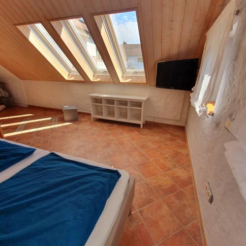 een slaapkamer met dakramen, een bed en een tv bij Ferienwohnung RELAX in Neudrossenfeld