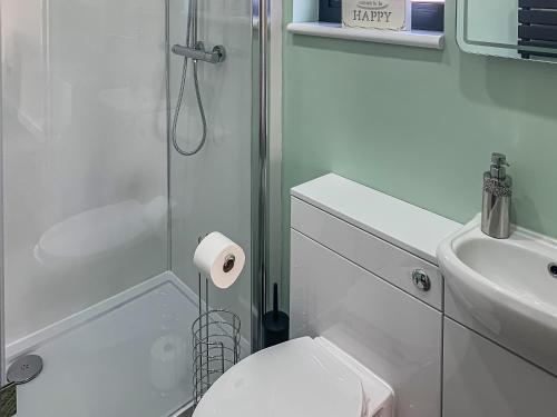 W łazience znajduje się prysznic, toaleta i umywalka. w obiekcie Lodge With A View w mieście Steyning