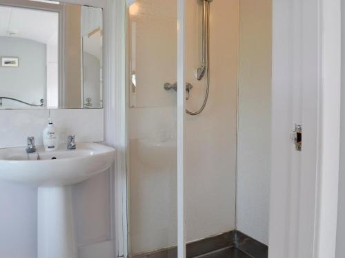 a white bathroom with a shower and a sink at The Carriage in Bridge of Dee