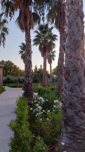 a group of palm trees and flowers in a park at Maison d Hotes BLUE PALM Aix en PROVENCE in Aix-en-Provence