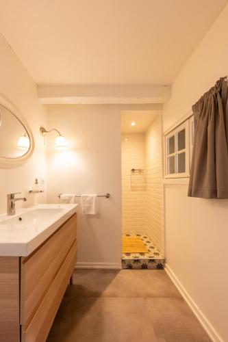 une salle de bain avec un lavabo et une douche dans l'établissement Sous Les Toits d'Annecy, un appartement irrésistible pour 1 à 6 personnes en plein coeur de ville, à Annecy