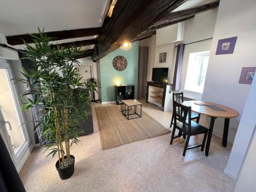 Studio cosy Hyper Centre Grenoble