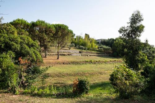 a field with trees and grass and a hill at Villa Smeralda - Luxury on the Italian Riviera in Lavagna