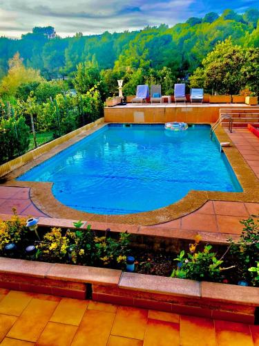 een groot zwembad in een tuin met een patio bij STUDIO BIBOUNE in Ceyreste