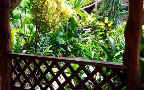 Playa Negra Brewing Beachfront Hotelにある庭