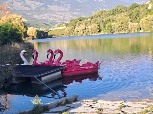 a group of pink flamingos on a dock in a lake at Vacances en tout tranquillité à Vercorin in Vercorin