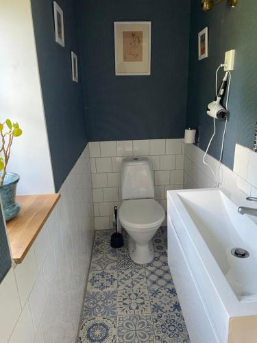 a bathroom with a toilet and a sink at The Old Henhouse in Tollarp