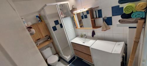 a small bathroom with a sink and a shower at Studio de l'Anse Mitan, Domaine des Tuileries in Les Trois-Îlets