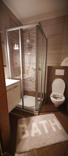 a bathroom with a shower and a toilet and a rug at Ferienwohnung Blick ins Grüne in Rossleithen