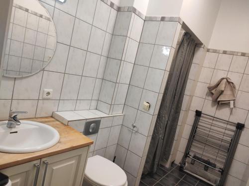 ein Bad mit einem WC und einem Waschbecken in der Unterkunft Dtown Apartment for 2-3 persons in Reykjavík
