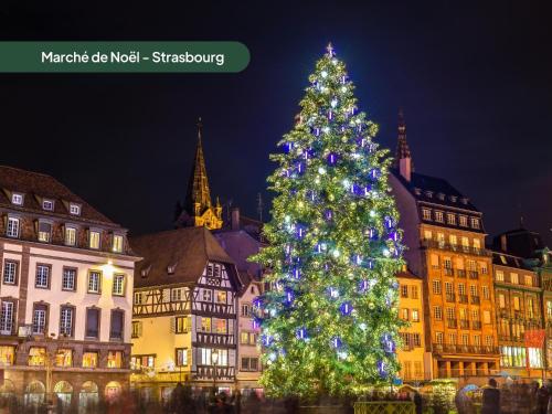 a christmas tree in front of some buildings at Domaine des Constellations - Tiny Houses & Bains Nordiques in Orbey