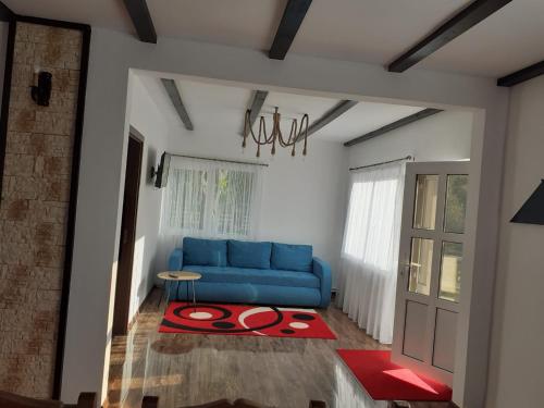 a living room with a blue couch and a red rug at Casa Ilinca in Şimon