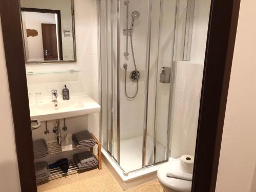 a bathroom with a shower and a sink at Landgasthof Santner in Thalgau