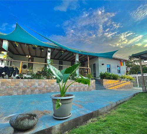 Κήπος έξω από το Suite Tierra - Piscina, BBQ, Botánico, Terraza, The Garden House