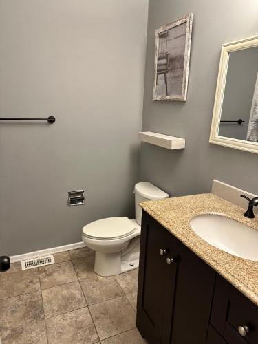 a bathroom with a toilet and a sink and a mirror at CastleRooms Homestay in Ottawa