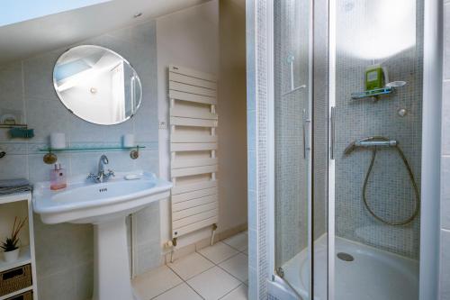 La salle de bains est pourvue d'un lavabo, d'une douche et d'un miroir. dans l'établissement Le Saint-Christophe, à La Tour-du-Meix