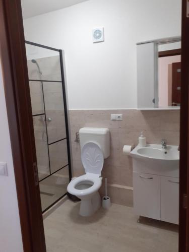 a bathroom with a toilet and a sink and a shower at Casa Ilinca in Şimon