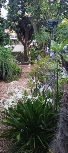 Taman di luar Casa Flora Garden Studio (Gite)