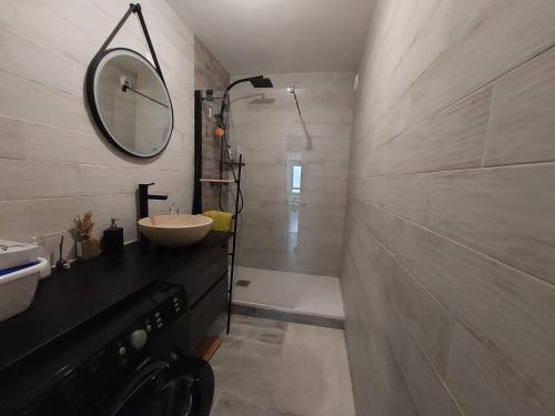 une salle de bain avec un lavabo, un miroir et une douche dans l'établissement Appartement Aix-en-Provence, à Aix-en-Provence